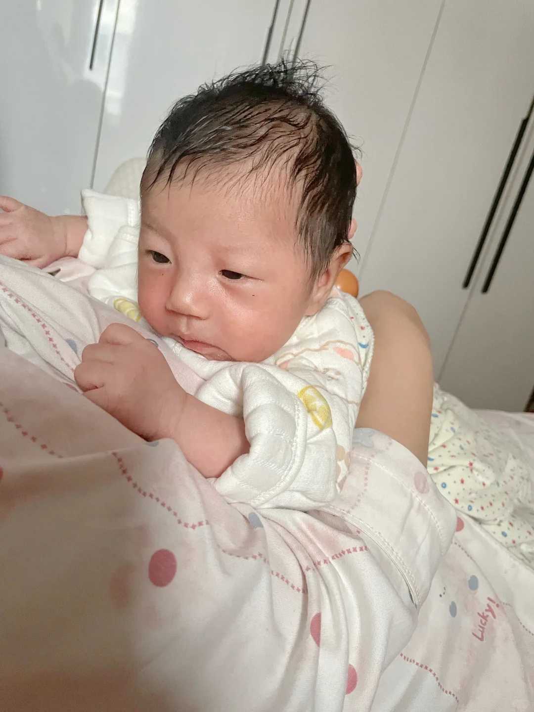 放生一遍几点衡水泥鳅代放生到哪里【个人放生与共修放生】