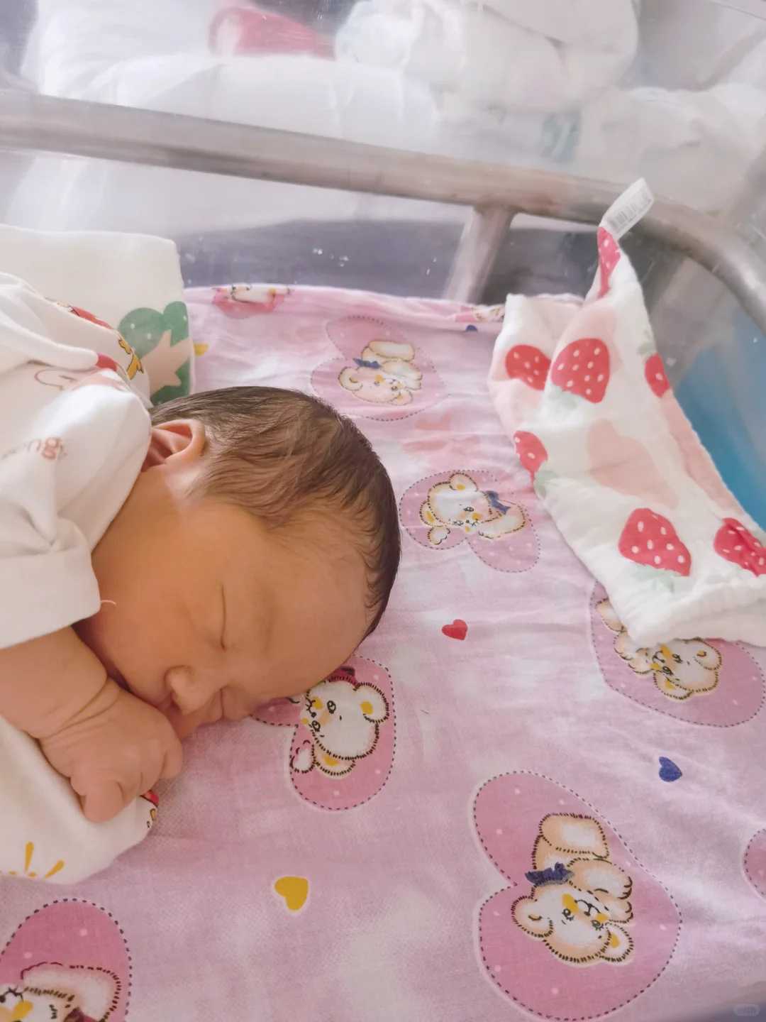 南京那天放生最好,南京代放生功德利益,南京中华花龟能放生吗