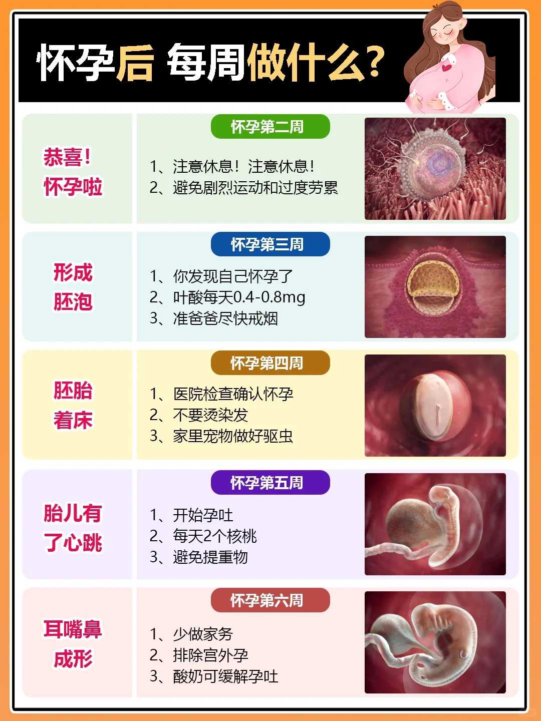 张家口放生的乌龟（张家口持明宝瓶放生）