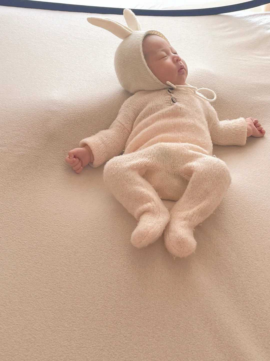 香港乌龟放生地点公布，八月初一放生时间是几点