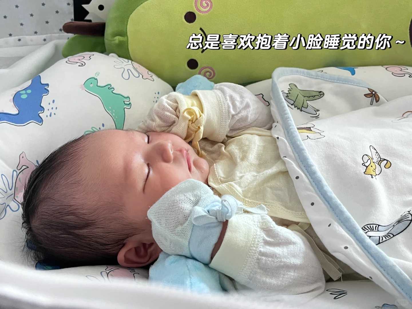 贵阳初一能放生吗,贵阳寺庙放生乌龟事件,贵阳适合放生乌龟的地方有哪些