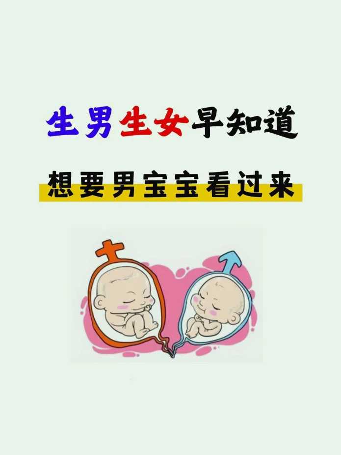 石家庄放生鸟，西园寺放生