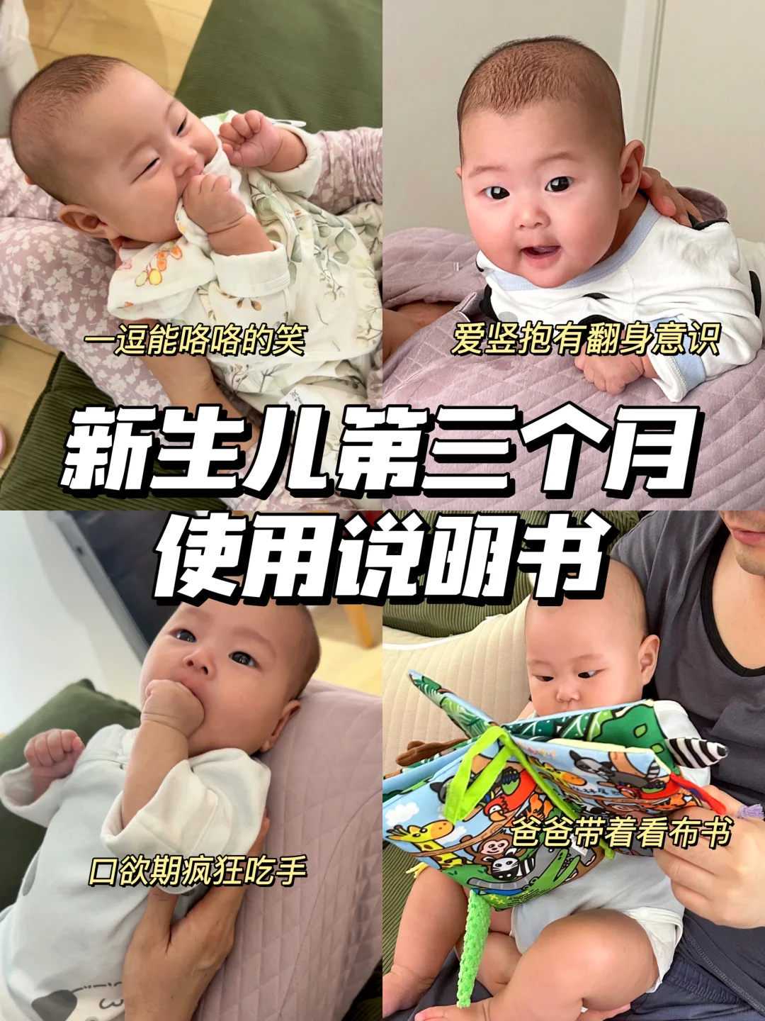 初一放生鱼秦皇岛多放生泥鳅求姻缘【放生都是放什么东西】