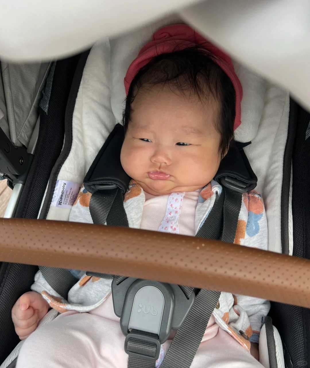 代放生下雨天好还是晴天好，蔬菜，生吃好还是熟吃好