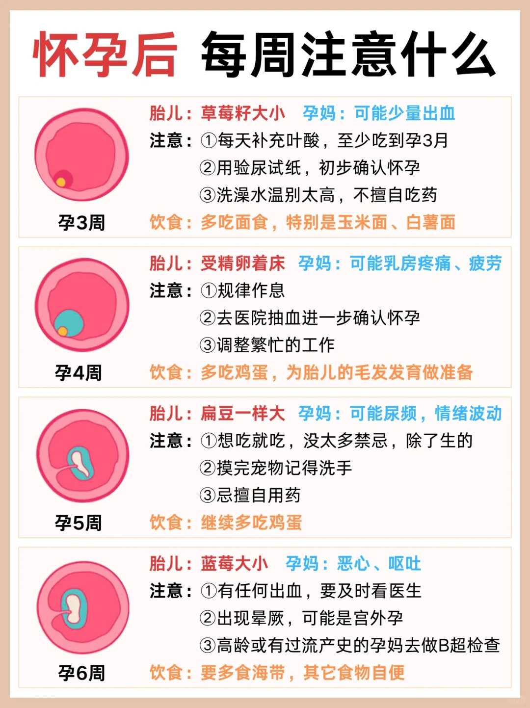 放生是救命，救下的物命未放生就已经死亡了，怎么办