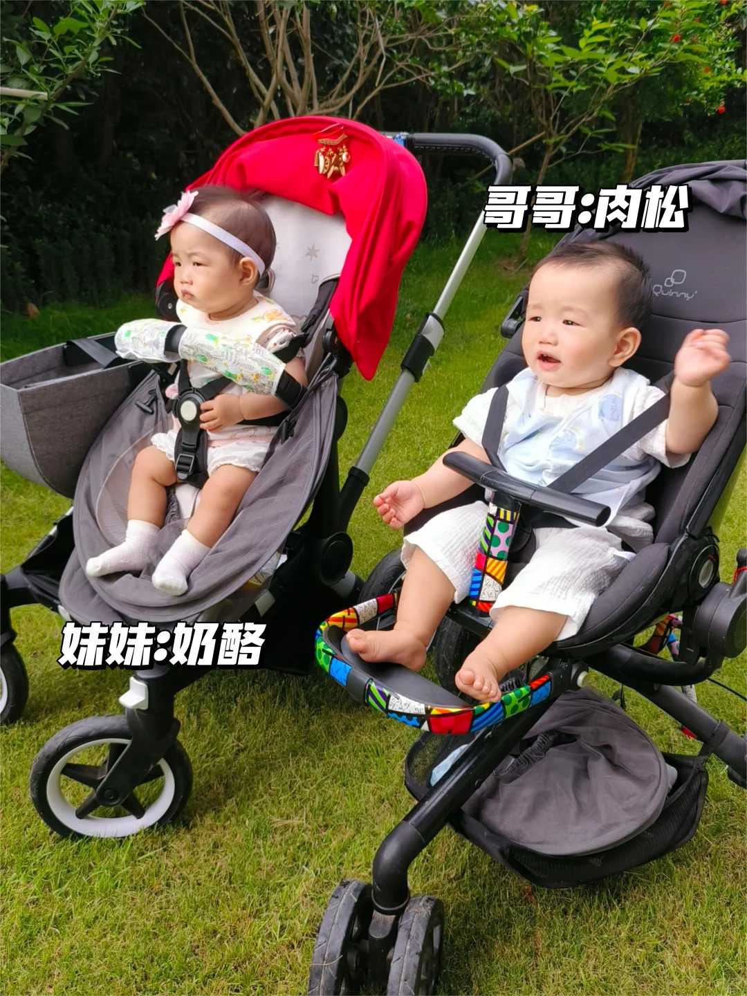 放生甲鱼有什么好处和坏处，放生鲫鱼有什么好处？