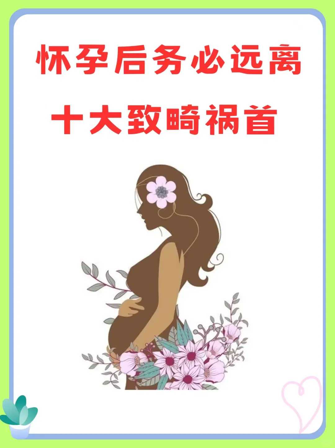 杭州乌龟放生，买的鸽子怎么放生