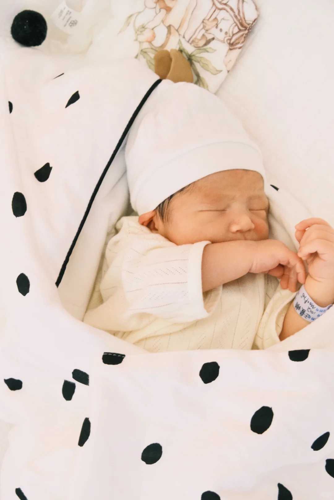 放生需要放什么音乐，放生放什么