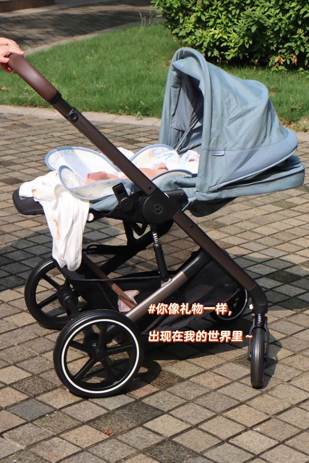 代放生六条大鲤鱼代表什么，道证法师：鲤鱼救子放生病愈-放生