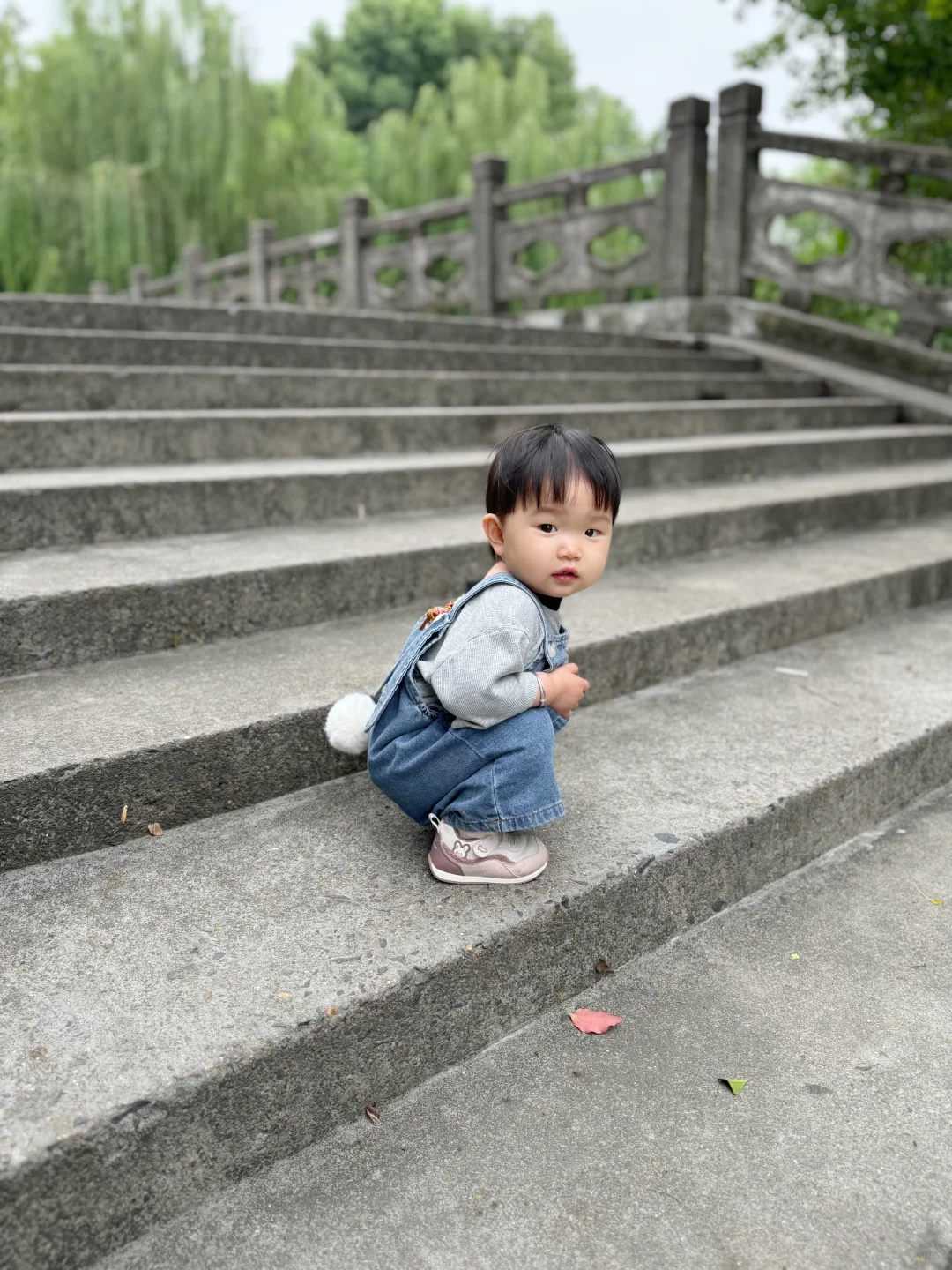 安徽怎样如法放生，安徽8月代放生的日子，安徽放生乌龟祈福的句子