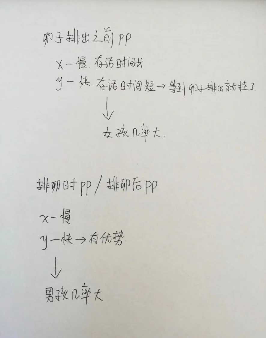 成都代放生鱼一般在什么地方，唐宋时期、的成都大圣慈寺与蜀地文化