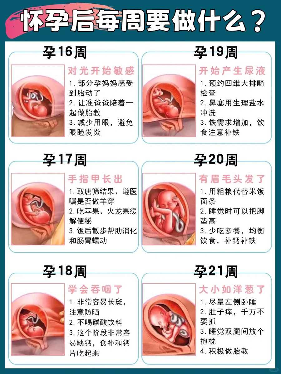 (a)周边放生最佳地点在哪里