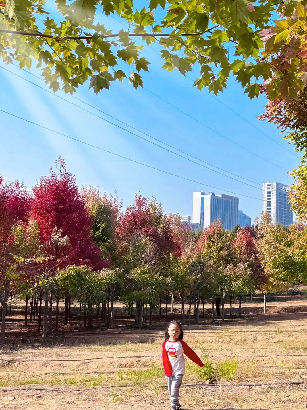 自己出钱别人放生怎么办，自己善良和别人无关