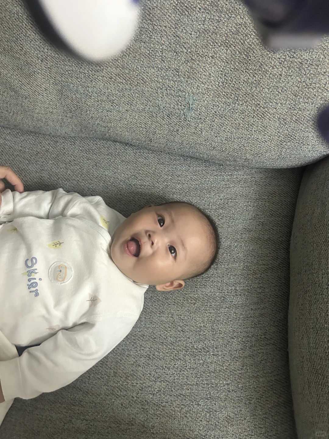 放生的佛歌叫什么名字呢，龟放生为什么写上名字