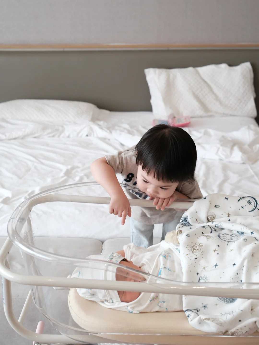 郑州代放生，郑州放生的图片大全，郑州鱼籽放生能存活吗